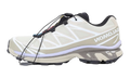 Salomon XT-6 Gore-Tex Hiking Shoes - Eucalyptus Sage Cosmic Sky