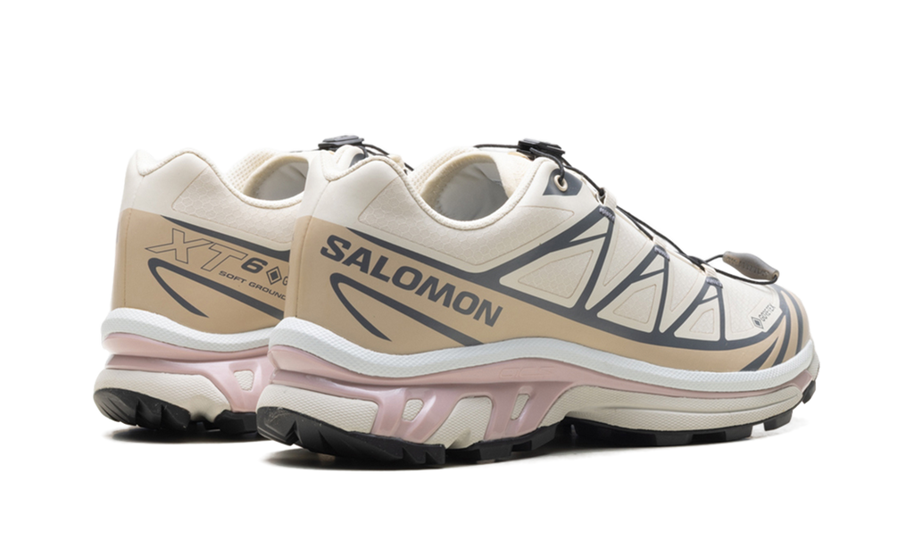 XT-6 GTX Almond Milk Mauve - Waterproof Trail Sneakers with GORE-TEX