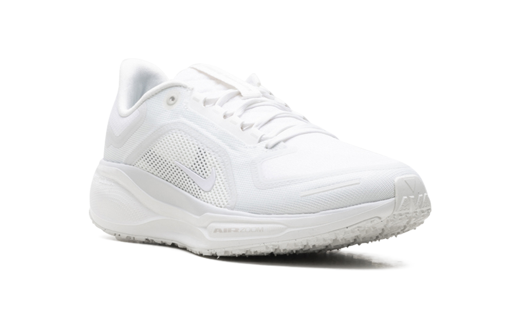 Nike Air Zoom Pegasus 41 Gore-Tex Summit White - Waterproof Running Shoes