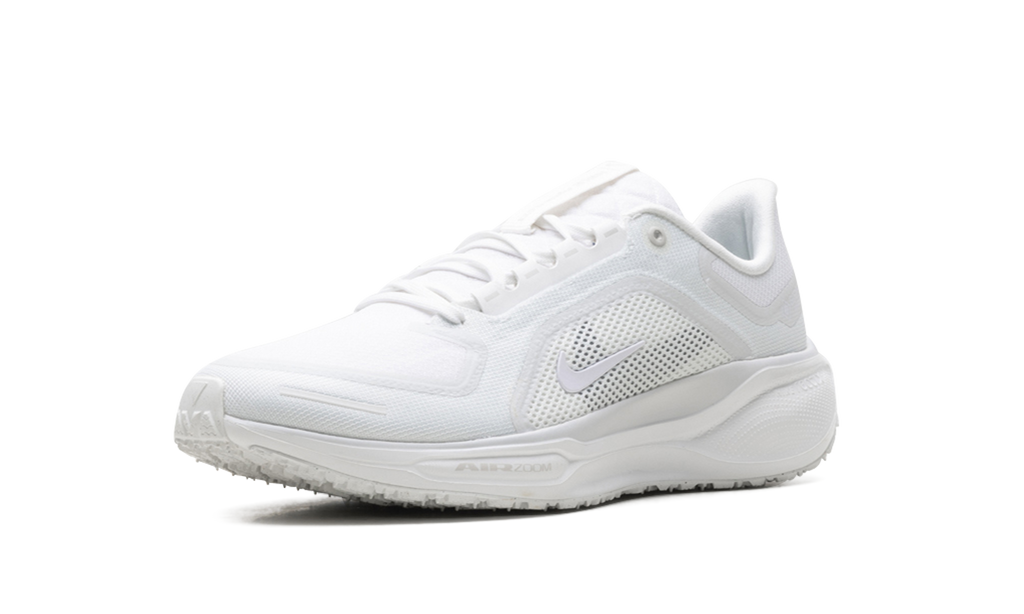 Nike Air Zoom Pegasus 41 Gore-Tex Summit White - Waterproof Running Shoes