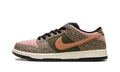 Nike SB Dunk Low Arts-Rec IH3211 200 - San Diego Zoo Inspired Skate Shoes