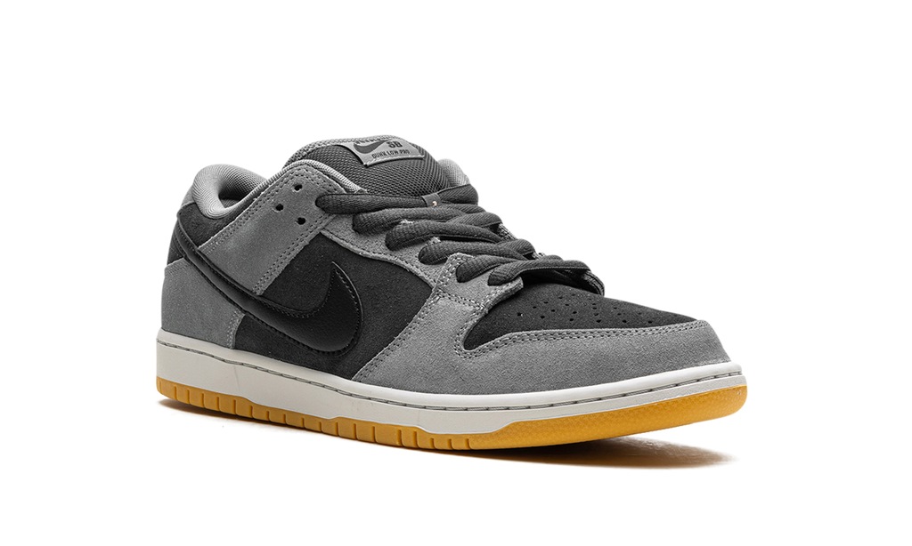 Nike SB Dunk Low Pro Dark Smoke Grey HF3063-001 | Skate Shoe